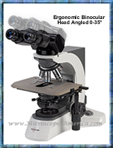 ACCU-SCOPE 3025-BE-CS Ergonomic Binocular Microscope